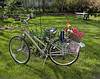 Mit dem Fahrrad am Waginger See